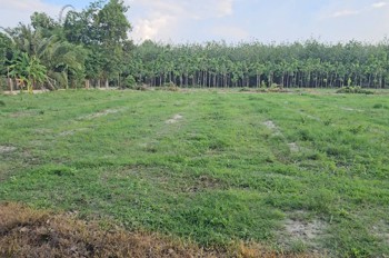 ĐẤT ĐẸP - GIÁ TỐT - Chính Chủ Bán Đất nền đã có sổ hồng 818.7m2 Tân Biên, Tây Ninh
