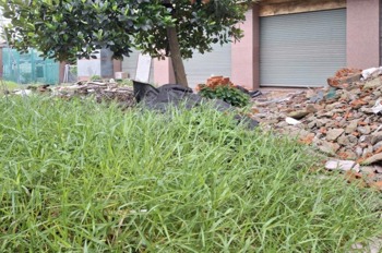 Bán đất nền Quận 12 - 4 Lô Mặt Tiền SHR Đường 10m - 105m2 - Võ Thị Thừa