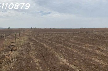 CHO THUÊ 150HA ĐẤT TRỒNG NÔNG NGHIỆP