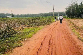 CHÍNH CHỦ CẦN BÁN ĐẤT XÃ MINH HÒA, HUYỆN DẦU TIẾNG, BÌNH DƯƠNG