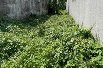 Đất Mặt tiền SHR Nở hậu nhẹ HXH 117m2 – Thạnh Lộc 51 Quận 12 SS