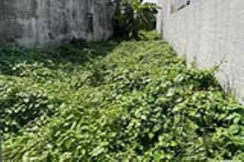 Đất Mặt Tiền Thạnh Lộc, Quận 12 - 117m2, SHR, Nở Hậu, Giá 4.79 Tỷ