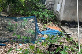 Chính chủ cần bán 38.5 m2 đất Cổ Bi- Gia Lâm, giá chỉ 3.1 tỷ, liên hệ 0985865658