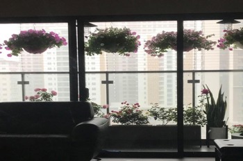 Bán Căn Góc 3PN Imperia Garden - 97m2 - View Đẹp - Sổ Hồng