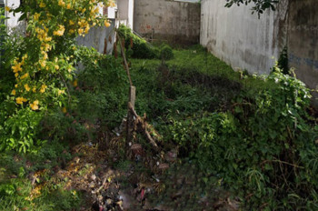 Giảm 100tr! Đất HXH 246m2, Nở hậu – Trần Thị Năm Q12 SS