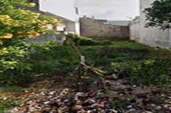 Đất Mặt Tiền Thạnh Xuân 43, Quận 12 - 171m2, SHR, Giá 6.9 tỷ