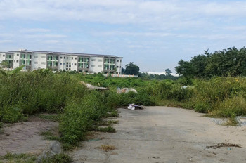 B.á.n đất đấu giá tổ 3 (Giai Lạc), xã Quang Minh, HN, DT80m, MT5m, vỉa hè, ôtô, g.i.á đầu tư 4.xtỷ,