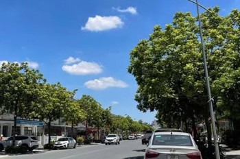 ✨ MẶT PHỐ AN PHÚ VILLA - TRỤC CHÍNH - KINH DOANH SẦM UẤT - TRUNG TÂM DƯƠNG NỘI - PHÂN LÔ Ô TÔ VỈA