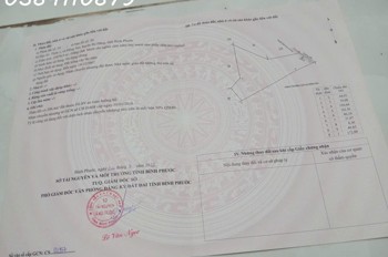 6HA CÓ CAO SU TRỒNG SẴN GIÁ 2 TỶ