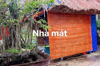 Tìm chủ mới đất mặt tiền đường bê tông 2m5 mét tại ấp Phong Đại Điền - Thạnh Phú - Bến Tre cũ