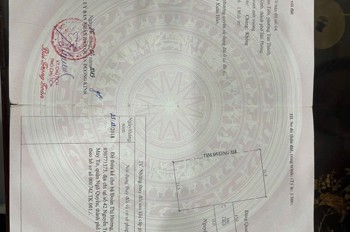 SIÊU PHẨM 2 MẶT TIỀN PHẠM VĂN ĐỒNG 353 – 130M², GIÁ HƠN 8 TỶ – LÔ HIẾM CẠNH KCN ĐỒ SƠN  ZALO 0567