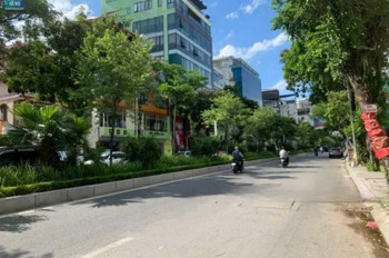 BÁN ĐẤT LẠC LONG QUÂN 215M - OTO VÀO - 20M RA MẶT PHỐ - CHỈ HƠN 40 TỶ