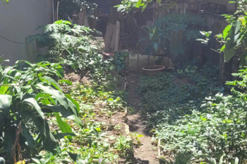 Bán đất khu quân đội Z133 – Đức Giang, Long Biên – Dân trí cao, hạ tầng hoàn thiện