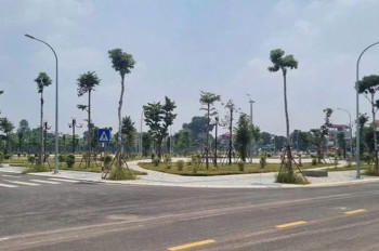 ✅️ ĐẤT ĐẤU GIÁ X6 NGUYÊN KHÊ - CẠNH QL3 - CẠNH SÔNG ĐÀO - 80M - 2 THOÁNG