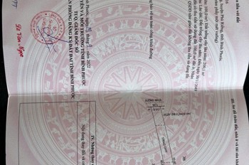 ĐẤT ĐẸP - GIÁ TỐT - Chính Chủ Cần Bán 5 Lô Đất Liền Kề Tại Phú Riềng, Bình Phước