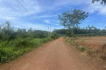 CẦN BÁN ĐẤT CHÍNH CHỦ - ẤP 4, XÃ THANH HÒA, HUYỆN BÙ ĐỐP, BÌNH PHƯỚC