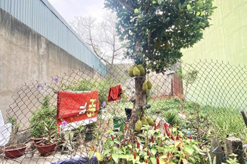 HẺM 331 PHAN HUY ÍCH - 83M2 - NGANG 4,5M - BANK CHO VAY 5 TỶ - BÁN GIÁ CHỈ 5.7 TỶ