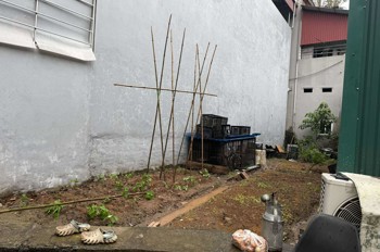 Chính chủ bán đất 43.8 m2 Kiêu Kỵ - Gia Lâm, giá chỉ 2.65 tỷ, LH 0985865658