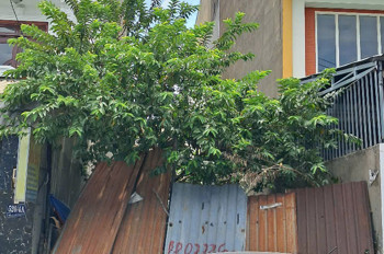 Bán Lô Đất Mặt Tiền Hẻm 6m 520 Quốc Lộ 13 Hiệp Bình Phước Thành Phố Thủ Đức