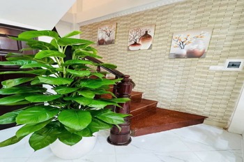Bán nhà đẹp Bạch Mai, Hai Bà Trưng - 39m², 4 Tầng, Giá 7.99 Tỷ