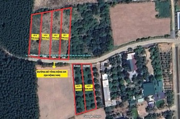 MỞ BÁN 6 LÔ ĐẤT CÓ THỔ CƯ Ở SUỐI TIÊN – DIÊN KHÁNH 🌿