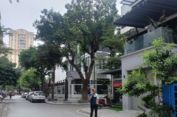Biệt thự Mễ Trì 131.5m2- 4 tầng, vỉa hè, ôtô tránh, ở VIP, giá 36.6 tỷ