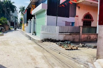 ĐẤT THỔ CỨ Thôn Mỹ Nội Xã Bắc Hồng Mỹ Nội 46m2 X 3.95 tỷ Đông Anh Hà Nội