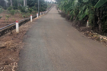 Chủ bán 1000mv mt nhựa láng lớn phủ hồng 300mv