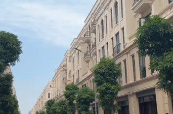 Nhà phố Vinhomes Cổ Loa, view vườn hoa, còn sót lại mua từ chủ đầu tư. Giá gốc