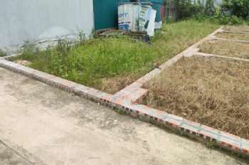 BÁN ĐẤT TỔ 9 (ẤP TRE), XÃ QUANG MINH, HN - NHÕ THÔNG BÀN CỜ, ÔTÔ VÀO ĐẤT, 100% THỔ CƯ, GIÁ ĐẦU TƯ