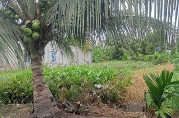 Đất Vuông SHR HXH 201m2 – Thạnh Xuân 33 Quận 12 SS