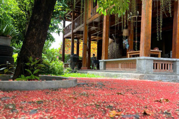 Bán nhanh 227m2 sát MT Nguyễn văn Tạo , hẻm xe tải cách MT 20m . giá đầu tư