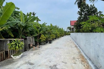 SIÊU PHẨM ĐẤT LÃO PHÚ – TÂN PHONG, KIẾN THỤY – GIÁ CHỈ 7XX TRIỆU – ĐẸP KHÔNG TÌ VẾT – ZALO 0567 222