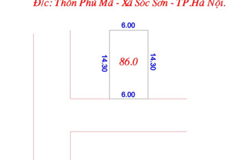 GIÁ NÉT CĂNG  TẠI  PHÙ MÃ - PHÙ LINH  DT 86 M FUN THỔ CƯ KHUÔN THƯA HAO HẬU --- TIỆN ÍCH TRÀN VIỀN ,