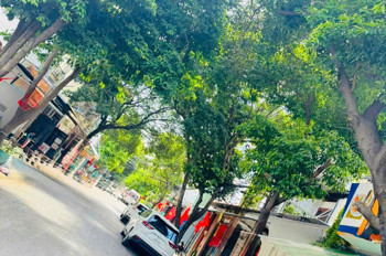 SIÊU PHẨM TÂN BÌNH – 2 MẶT TIỀN – 118M² – 6 TẦNG – DÒNG TIỀN ỔN ĐỊNH – CHỈ 24.96 TỶ