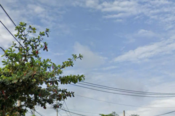 Bán đất mặt tiền 30x85m giá 25 tỷ Đường Võ Văn Bích