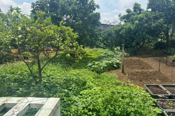 CHÍNH CHỦ CẦN BÁN ĐẤT TẶNG NHÀ MẶT TIỀN NGUYỄN ĐÌNH CHIỂU – P.1, BẢO LỘC, LÂM ĐỒNG