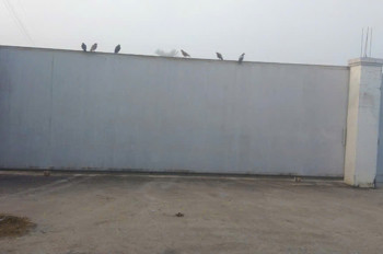 ĐẤT KHỦNG 6.500m² MT XUÂN THỚI SƠN 6, HÓC MÔN
