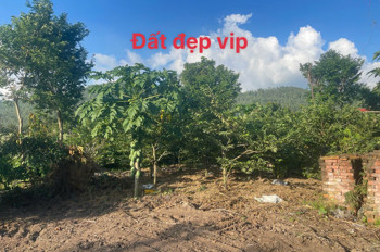 MỞ BÁN LÔ ĐẤT F0 SIÊU PHẨM , ĐẤT NGHỈ DƯỠNG TẠI ĐẠI ĐÌNH – TAM ĐẢO VĨNH PHÚC
