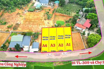 BÁN ĐẤT GIÁ SIÊU MỀM – TDP NINH HÀ, XÃ KIM LONG, HUYỆN TAM DƯƠNG, VĨNH PHÚC