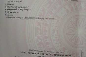 BÁN 9 HÉC CAO SU & ĐIỀU – THỰC TẾ GẦN 10 HÉC – BÙ ĐĂNG, BP, 5,8 TỶ