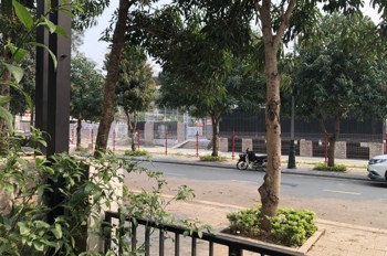 Bán nhà Bình Minh Garden – Đức Giang – 80m² – 18.7 tỷ – Thang máy xịn!