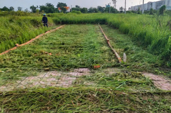 *CHÍNH CHỦ CẦN BÁN GẤP LÔ ĐẤT GIÁ RẺ NGAY XÃ TÂN LÂN, CẦN ĐƯỚC, LONG AN
