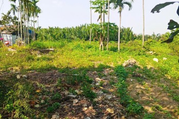 Chủ kẹt tiền cần bán lô đất tại MT đường DX 017 có 1000 m² đất ở., Cẩm Thanh giá 20 tỷ