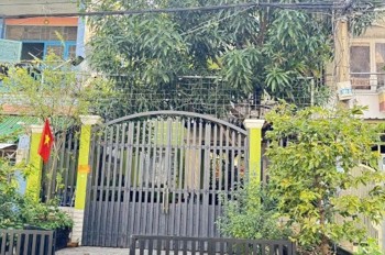 Bán biệt thự vườn đường Số 19 KDC Bình Hưng ngay bx Q8