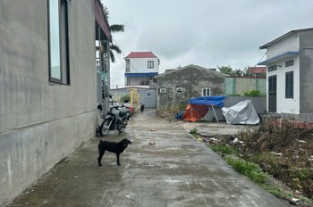 LÔ ĐẤT 85M² – TUYẾN 2 CỐC LIỄN, MINH TÂN – Ô TÔ TẬN NƠI, GIÁ 8XX TRIỆU  ZALO 0567 222 555