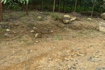 BÁN LÔ ĐẤT GIÁ CHỈ 180tr Dt:532,6m2 ( ngang 9m)