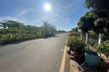 Chuyển chỗ ở cần bán nhà đất 11×45 80 thổ cư mặt tiền nhưa 12 m  giá 2ty4 còn  thương lương