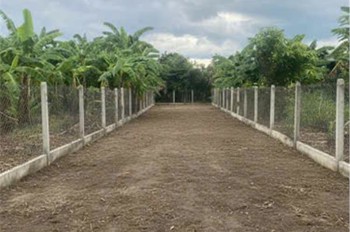 BÁN LÔ ĐẤT VƯỜN CÓ THỔ CƯ TẠI DIÊN KHÁNH, KHÁNH HOÀ