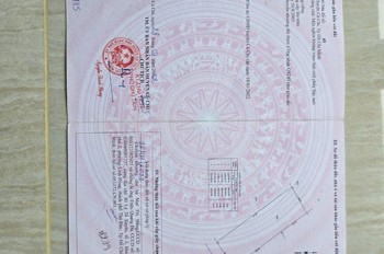 HOT HOT - CẦN BÁN LÔ ĐẤT  TRỒNG CÂY LÂU BÁN TẠI Ấp Cây Sộp, Tân An Hội, Huyện Củ Chi, HCM